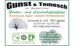 Gunst und Tomesch