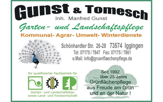 Gunst und Tomesch